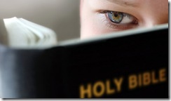 clip_image002 clip_image002