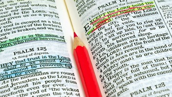 clip_image004 clip_image004