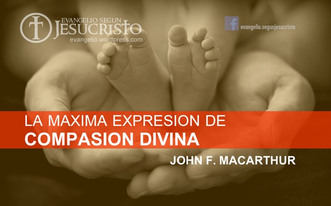 ESJ-015 2016 0801-002