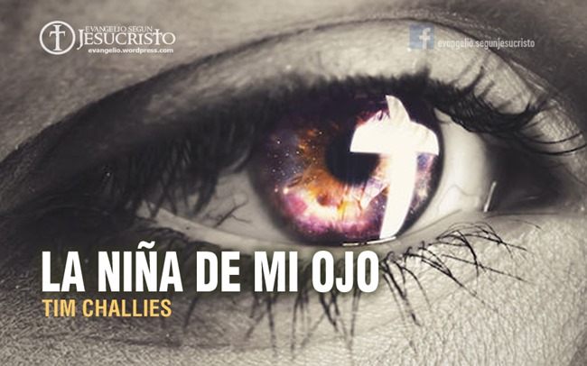 ESJ-015 2016 1116-003