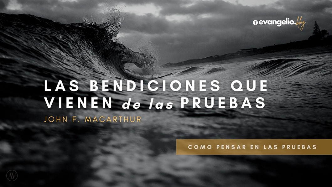 ESJ-blog 20200721_01